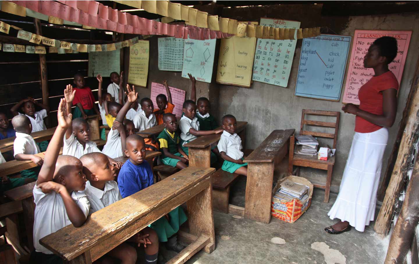 One-on-One Education Mentorship